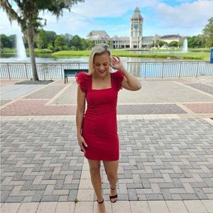 Claudia Organza Ruffle Bodycon Mini Dress